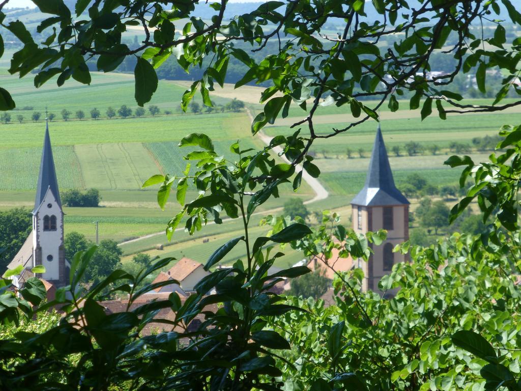 L'Ete En Novembre Bed & Breakfast Kirrwiller Exterior photo